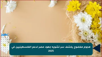 هجوم مفضوح يكشف سر تشويه جهود مصر لدعم الفلسطينيين في 2025